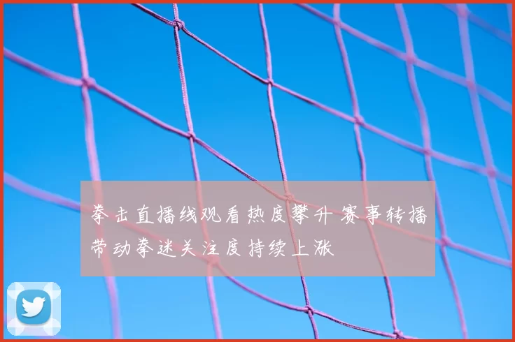 拳击直播线观看热度攀升 赛事转播带动拳迷关注度持续上涨