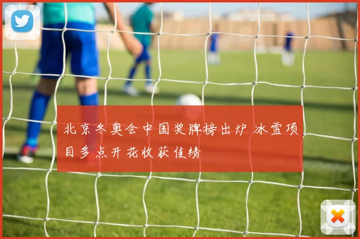 北京冬奥会中国奖牌榜出炉 冰雪项目多点开花收获佳绩